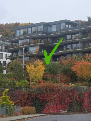 Podzimní kontrola balkónů! ✅️❌️❌️✅️✅️❌️✅️ Ano, stále koukám kolem sebe, kontroluju, zcela nepokryte hodnotím, kochám se a...